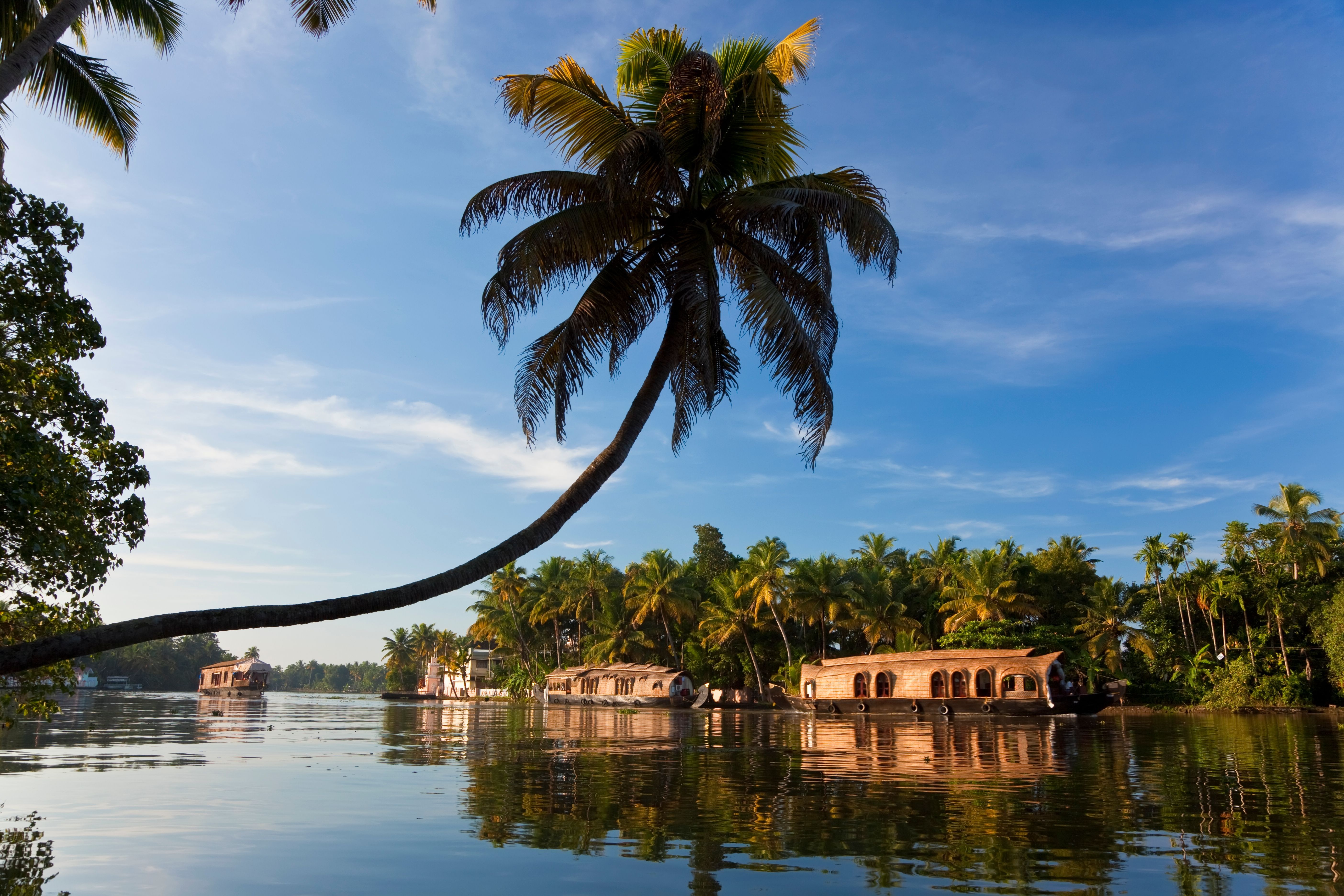 Alleppey backwaters